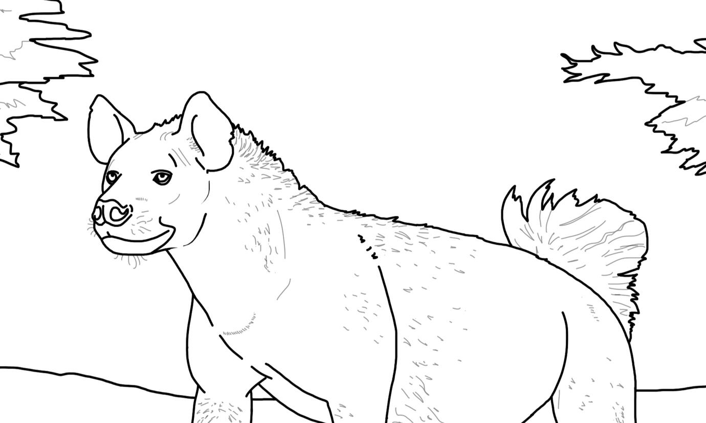 Spotted hyena!