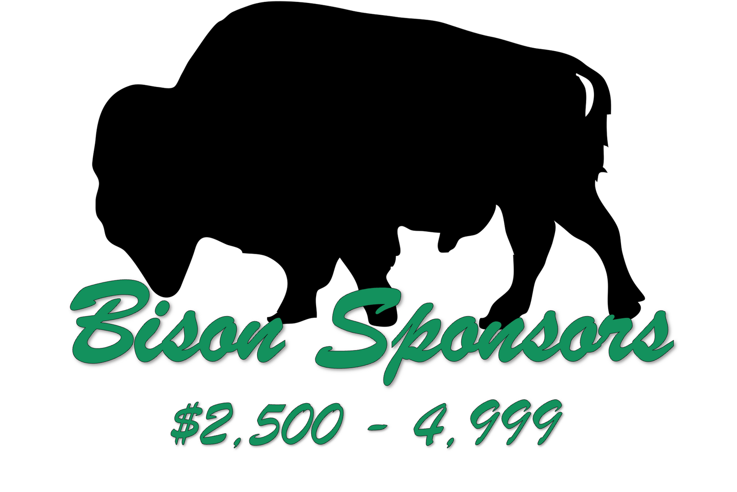 Bison sponsors: $2500 to 4,999