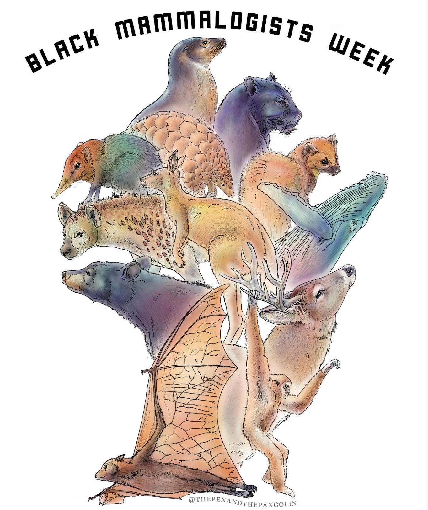 Animal logo for Black Mammalogists Week, which runs 9/13-19
