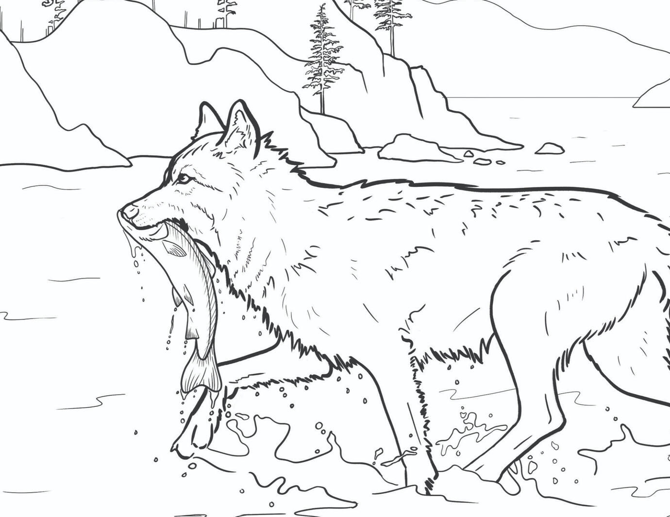 Coastal wolf